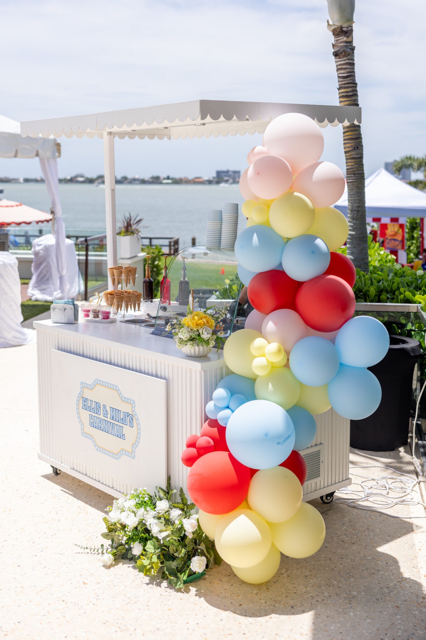 Tampa Bay Acai/Gelato Cart