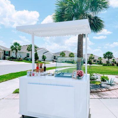pop sip and celebrate planning : Tampa's Gelato Cart